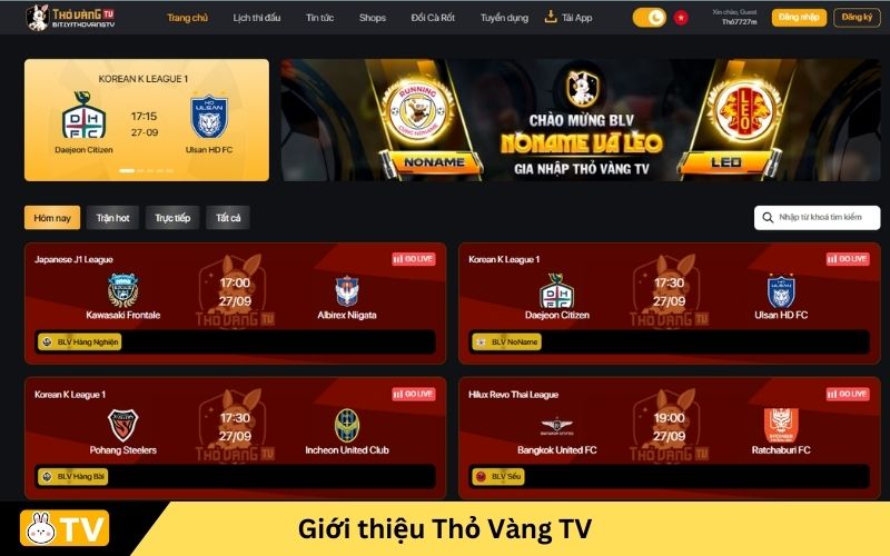 Giới thiệu Thỏ Vàng TV