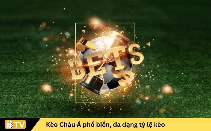 Kèo Châu Á phổ biến, đa dạng tỷ lệ kèo